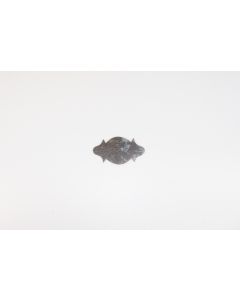 Rosette, quer, Beschläge, Eisen, 5 cm, 8.5 cm