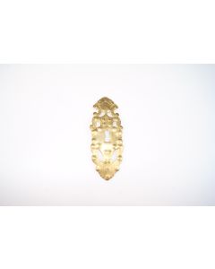 Schild, hoch, poliert, Beschläge, Messing, 13 cm, 5 cm