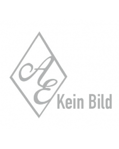 Offenes Schnappriegelschloss links, Beschläge, Eisen, 80mm, 145mm, Dornmass 55mm