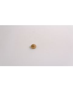 Holzzierteil, Artikel aus Holz, Holz, Buche, Durchmesser 14mm