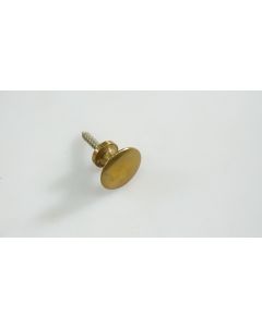 Knopf, Beschläge, Messing, Durchmesser 23mm