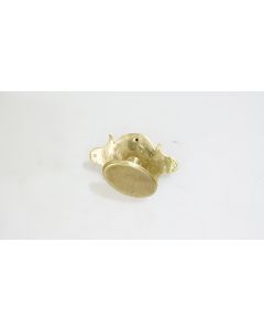 Knopf mit Schild, Historische Schlösser und Bänder, Messing, 55mm, 35mm uni