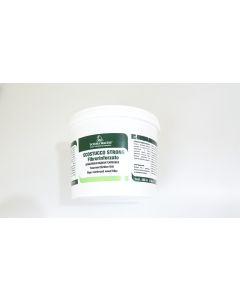 Faserverstärkter Kitt 1 Kg, Kiefer, Restaurierungsbedarf uni
